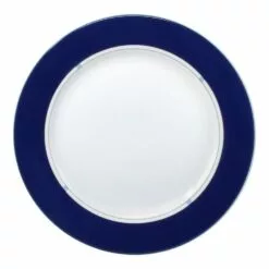 Coupon 🎁 Mikasa® Jet Set Blue Accent Dinner Plate 💯
