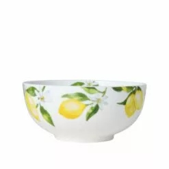 Brand new 😀 Mikasa® Lemons Set of 4 Soup Cereal Bowls 🔔 11 Brand new 😀 Mikasa® Lemons Set of 4 Soup Cereal Bowls 🔔 -Cheap dinnerware Store lemons set of 4 soup cereal bowls K45289431 3